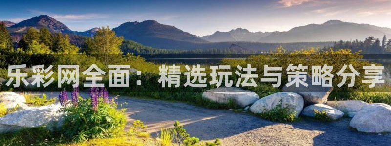 28圈平台官方入口：乐彩网全面：精选玩法与策略分享