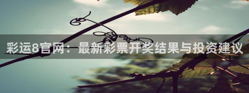 下载28圈app：彩运8官网：最新彩票开奖结果与投资建议